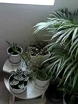 Snapshot of Rouse_hot_ chatting on 10, 1, 2026 Rouse hot online show from 10, 1, 2026