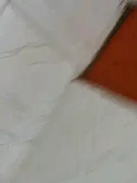 sucre69pb online show from 17, 12, 2025