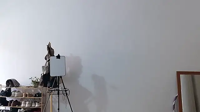 adele8731 online show from 12, 1, 2026