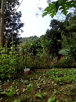 Rose-rose1234 online show from 21, 11, 2025