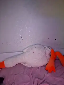 Snapshot of carolinakis_ chatting on 20, 2, 2026 carolinakis online show from 20, 2, 2026