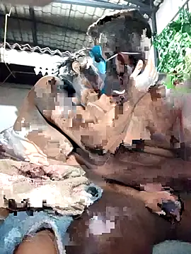 Snapshot of chathu_danu chatting on 1, 12, 2025 chathu danu online show from 1, 12, 2025