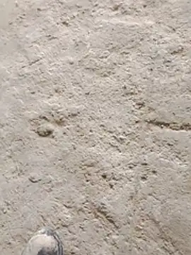 Paugostoso270515 online show from 24, 3, 2026