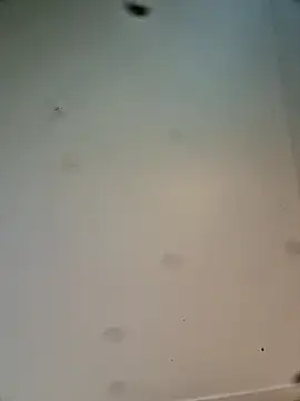 Hardwarelane67 online show from 23, 3, 2026