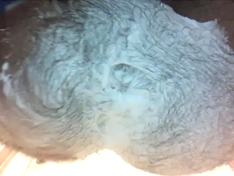 holy1996 online show from 27, 3, 2026