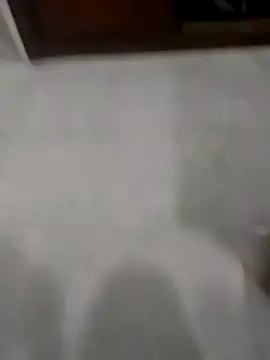 Zaginer online show from 20, 11, 2025