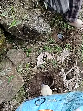 Pampirara online show from 21, 3, 2026