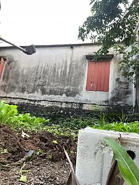 Miumiu95x online show from 16, 1, 2026