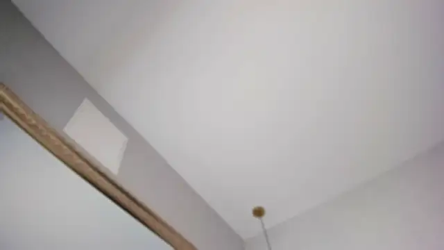 megann myers online show from 17, 2, 2026