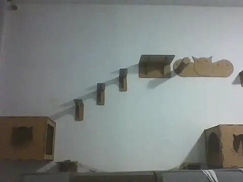 Temp7 online show from 21, 2, 2026