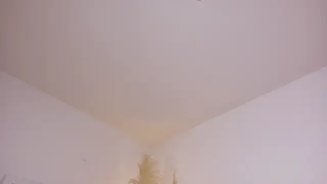 Snapshot of am_berr chatting on 13, 12, 2025 am berr online show from 13, 12, 2025