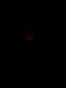 00x0x00 online show from 5, 4, 2026