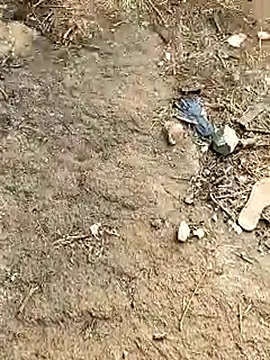 Snapshot of Meow_buggie chatting on 13, 1, 2026 Meow buggie online show from 13, 1, 2026