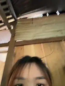 Snapshot of Spring-spring chatting on 24, 11, 2025 Spring-spring online show from 24, 11, 2025