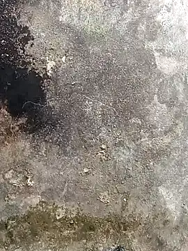 lynae-0 online show from 15, 12, 2025