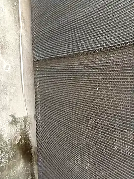 lynae-0 online show from 21, 12, 2025