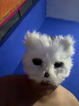 Snapshot of aricub chatting on 16, 12, 2025 aricub online show from 16, 12, 2025