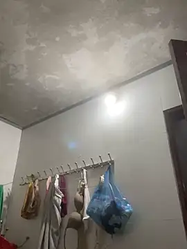 meganmeo online show from 10, 5, 2026