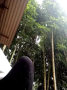 hey-bana online show from 17, 12, 2025