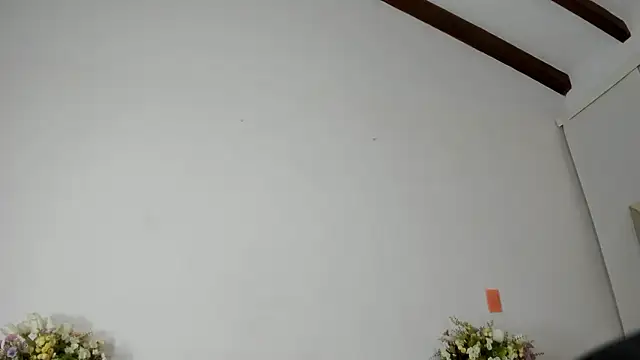 IsaSantoDomingo online show from 17, 1, 2026