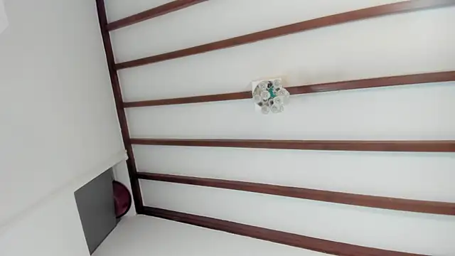 IsaSantoDomingo online show from 31, 1, 2026