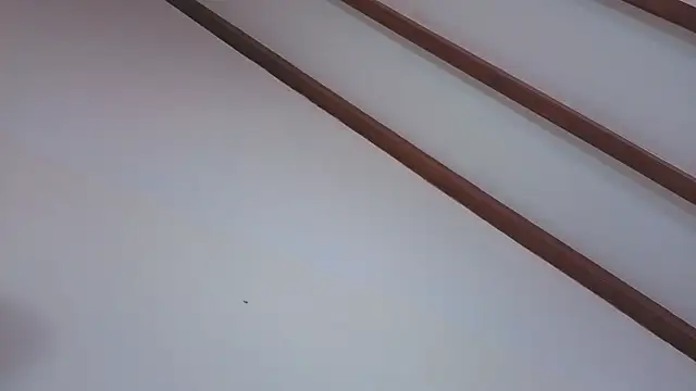 IsaSantoDomingo online show from 5, 2, 2026