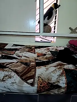 sopna845 online show from 23, 12, 2025