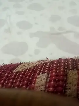 HKOOOH80 online show from 19, 3, 2026