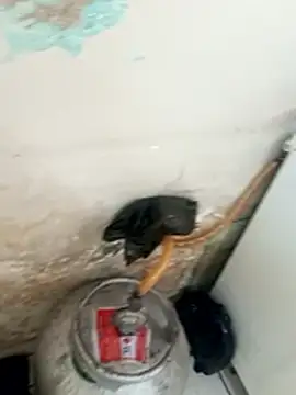  - putinha - online show from 17, 12, 2025