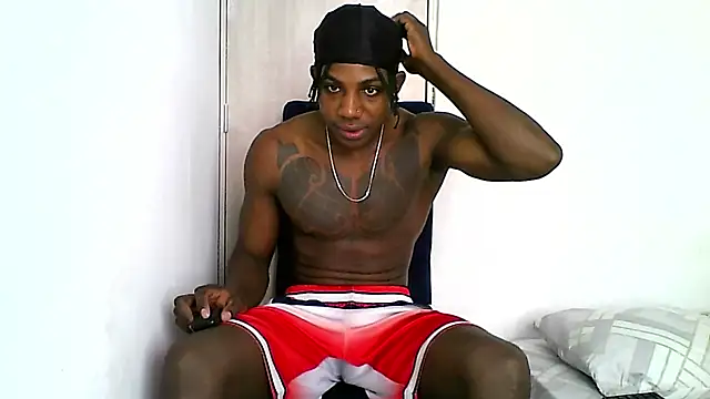 Darktemp  online show from 4, 12, 2025