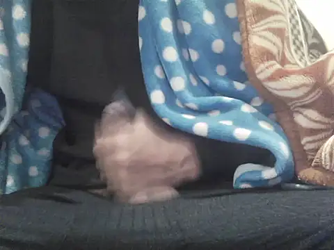 kalalund-up online show from 22, 12, 2025