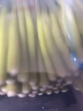 Snapshot of Ghost-Zero chatting on 21, 3, 2026 Ghost-Zero online show from 21, 3, 2026