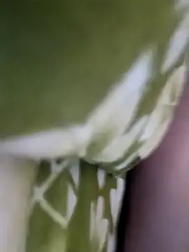 Aalam 0890 online show from 15, 12, 2025