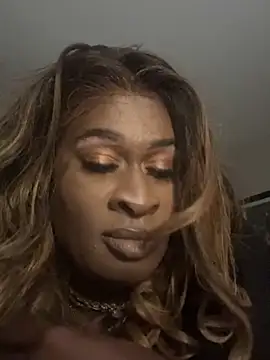 PreddiParis00 online show from 11, 3, 2026