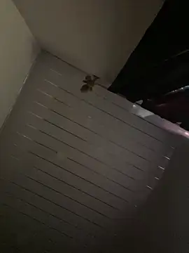 Snapshot of Carameloswing1 chatting on 19, 3, 2026 Carameloswing1 online show from 19, 3, 2026