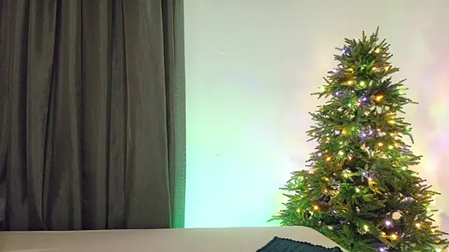 Snapshot of Aregoe_Art chatting on 20, 12, 2025 Aregoe Art online show from 20, 12, 2025