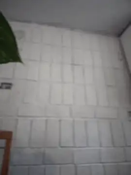 LuXarumi online show from 16, 12, 2025