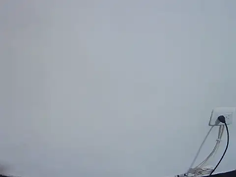 Snapshot of Fernanda_andrew chatting on 24, 2, 2026 Fernanda andrew online show from 24, 2, 2026