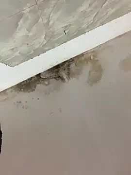 Mon babyy online show from 10, 2, 2026