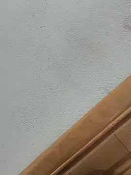 -Navy- online show from 12, 1, 2026