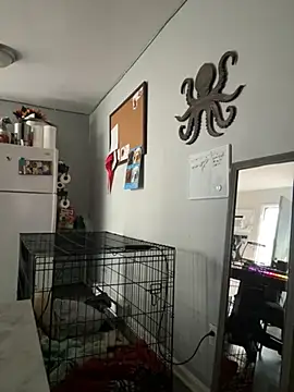 Snapshot of alluringpixie chatting on 22, 3, 2026 alluringpixie online show from 22, 3, 2026