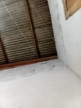 w2025silva online show from 22, 2, 2026