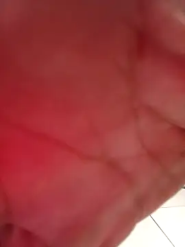 w2025silva online show from 24, 2, 2026