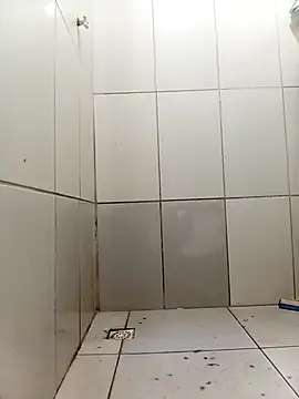 w2025silva online show from 24, 2, 2026