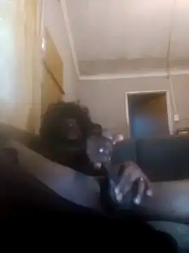 Faysbaakop3 online show from 10, 2, 2026