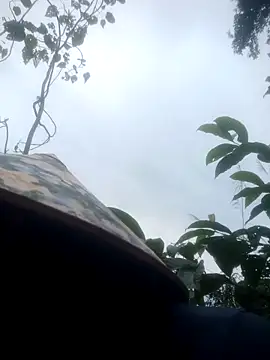 Amiluli online show from 11, 2, 2026