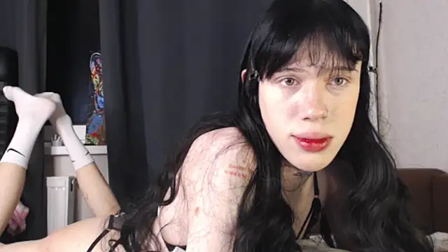 polimun online show from 8, 3, 2026