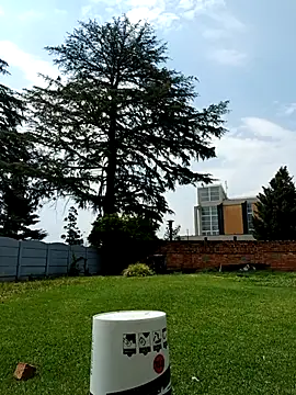 Snapshot of PetiteDoll_06 chatting on 21, 2, 2026 PetiteDoll 06 online show from 21, 2, 2026