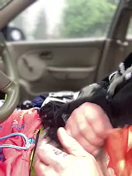 Ldnick69 online show from 24, 3, 2026