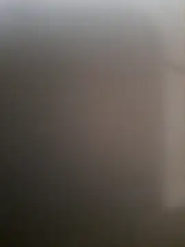 Snapshot of piedic chatting on 3, 3, 2026 piedic online show from 3, 3, 2026